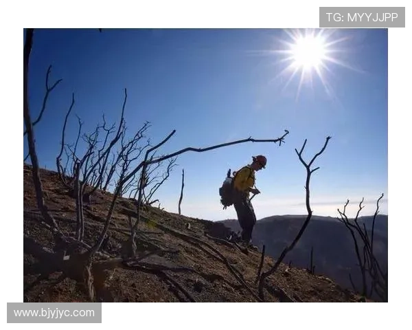 保拉·托马斯正式宣布退役，结束辉煌职业生涯